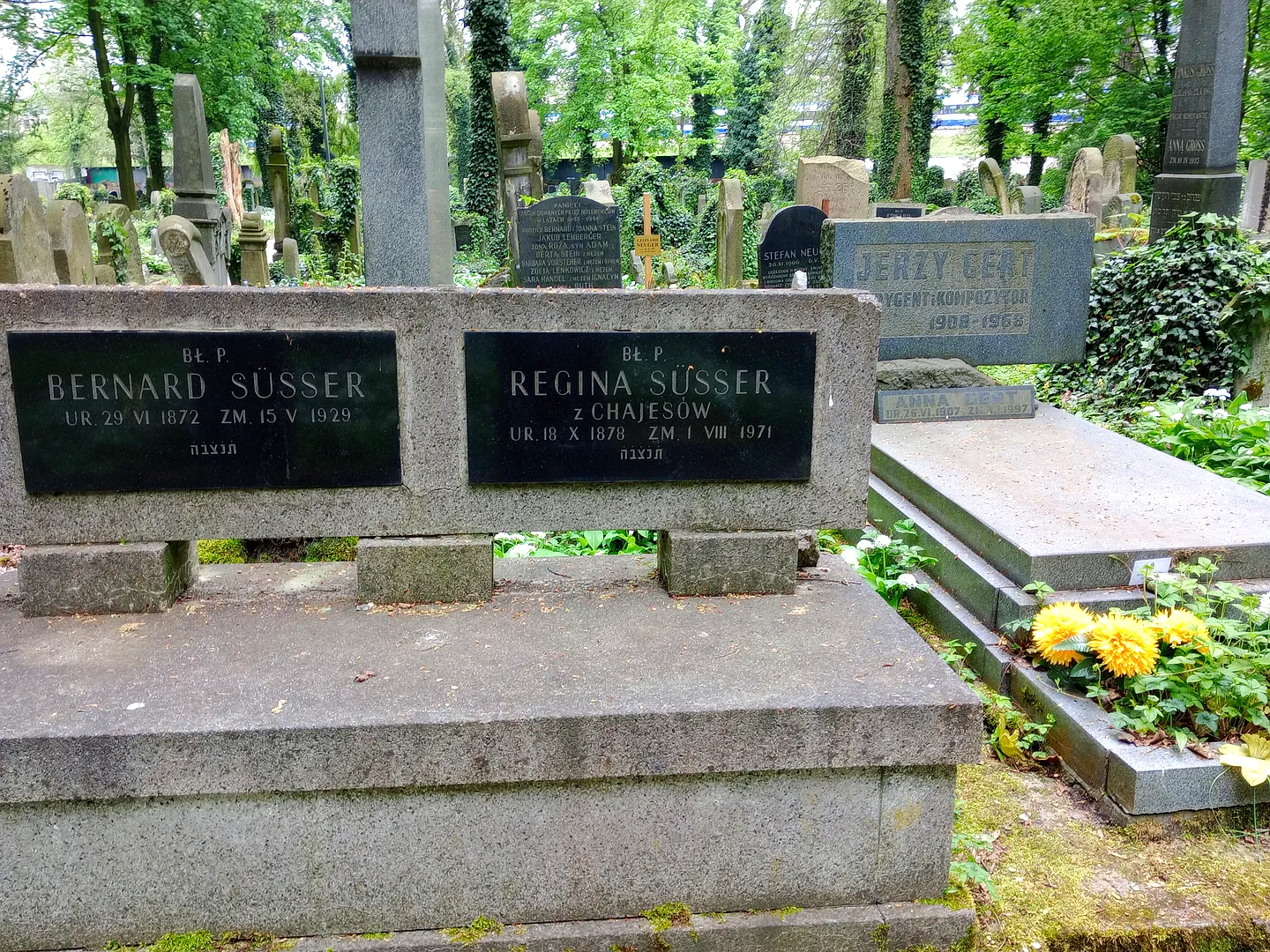 New Jewish Cemetery in Kraków