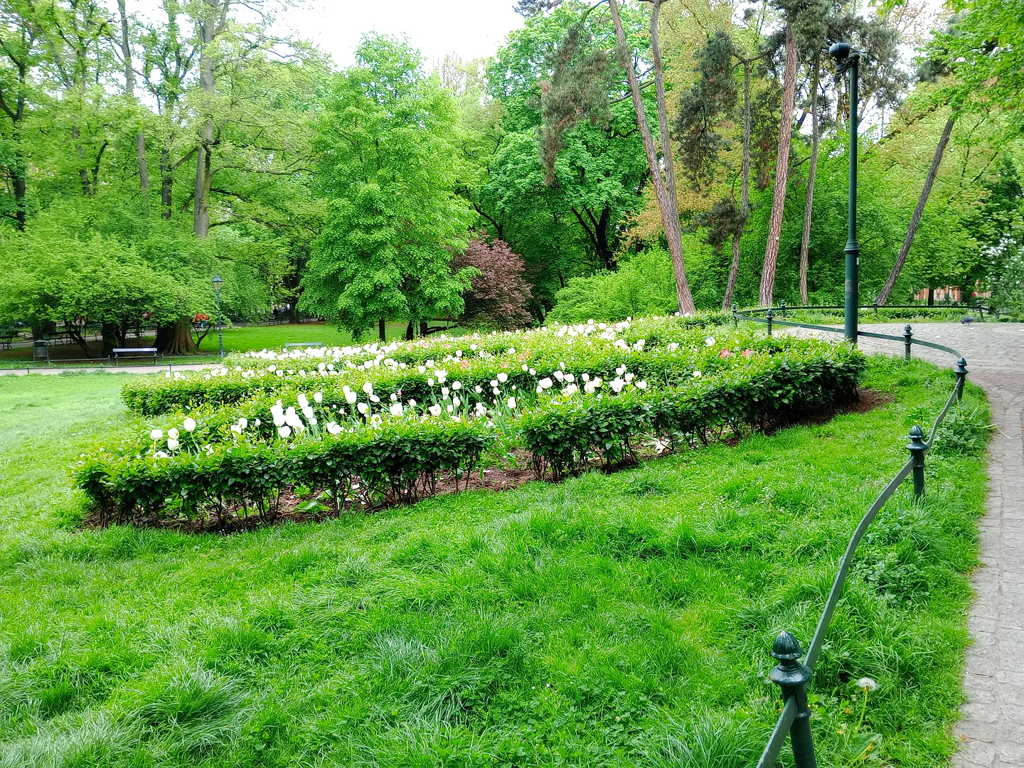 Planty Park near Sławkowska and Basztowa street