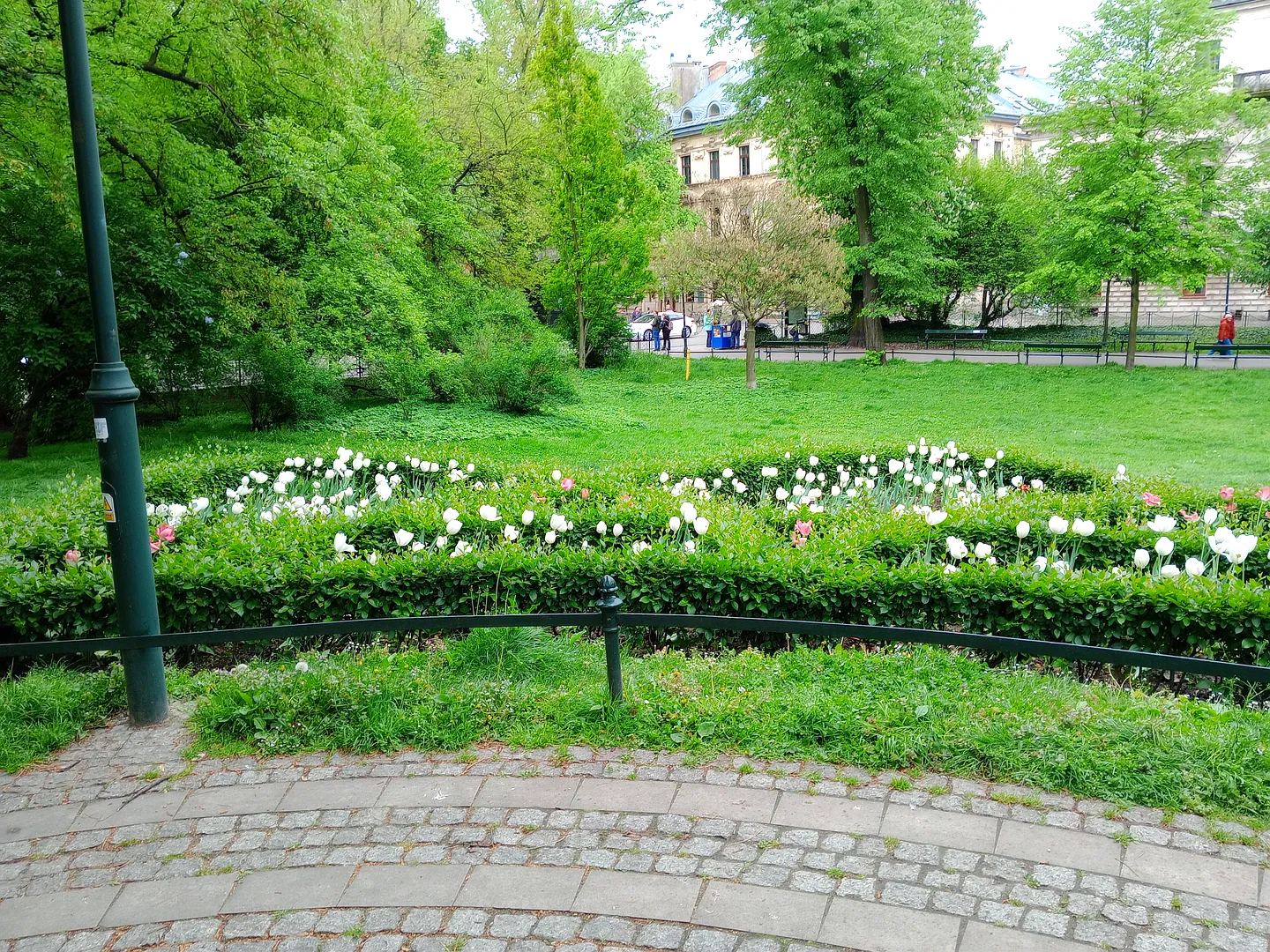 Planty Park near Sławkowska street